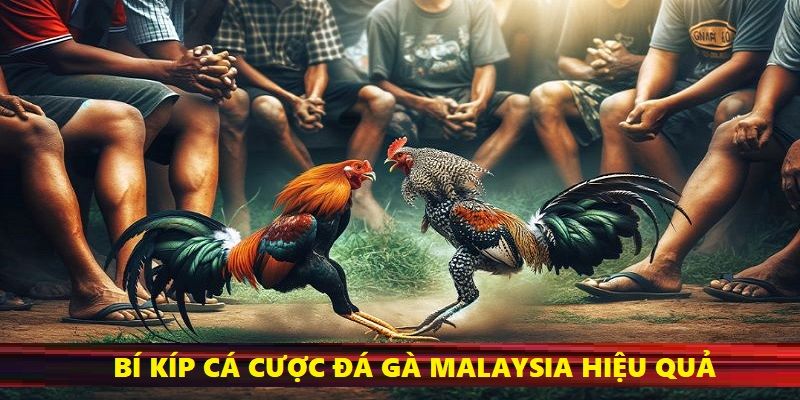 Áp dụng chiến lược cá cược thông minh giúp bạn thu về lợi nhuận cao