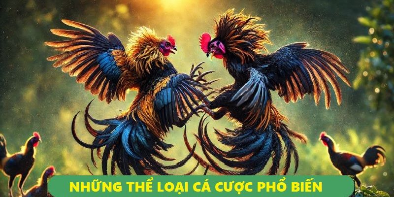  Mỗi thể loại cược mang lại những cơ hội và chiến thuật riêng biệt cho bạn