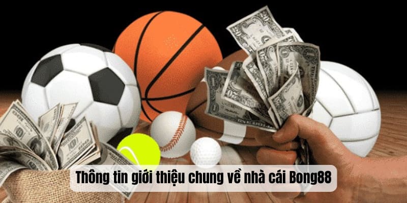 Thông tin giới thiệu chung về nhà cái Bong88